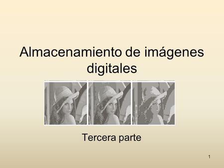 Almacenamiento de imágenes digitales