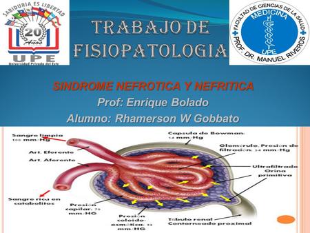 TRABAjO DE FISIOPATOLOGIA