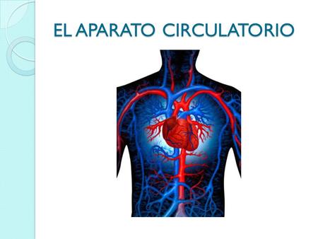 EL APARATO CIRCULATORIO