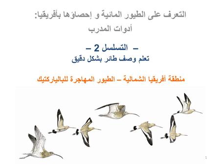 التعرف على الطيور المائية و إحصاؤها بأفريقيا:
