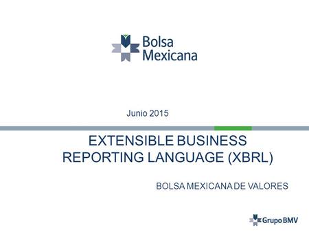 REPORTING LANGUAGE (XBRL)
