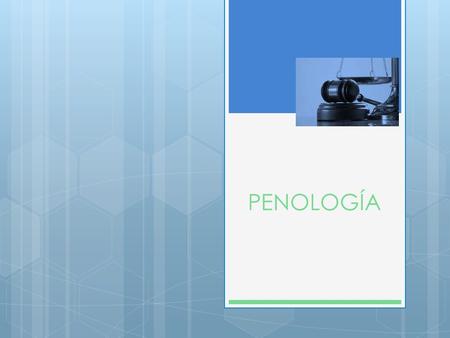 PENOLOGÍA.