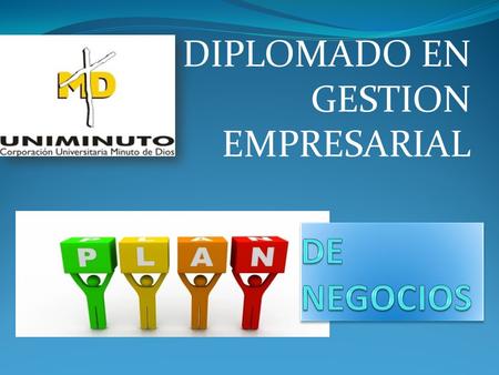 DIPLOMADO EN GESTION EMPRESARIAL. PLAN DE NEGOCIOS.