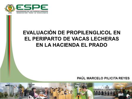 EVALUACIÓN DE PROPILENGLICOL EN EL PERIPARTO DE VACAS LECHERAS EN LA HACIENDA EL PRADO PAÚL MARCELO PILICITA REYES.