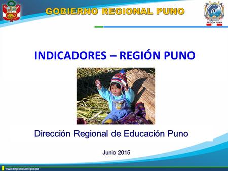 GOBIERNO REGIONAL PUNO INDICADORES – REGIÓN PUNO