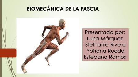 Presentado por: Luisa Márquez Stefhanie Rivera Yohana Rueda Estebana Ramos BIOMECÁNICA DE LA FASCIA.