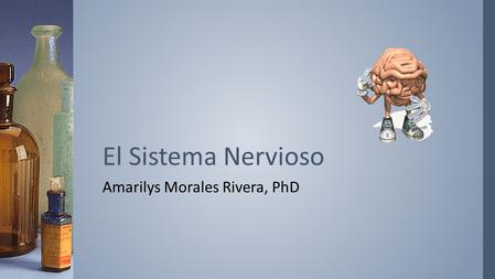 Amarilys Morales Rivera, PhD