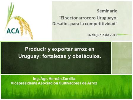 Producir y exportar arroz en Uruguay: fortalezas y obstáculos.