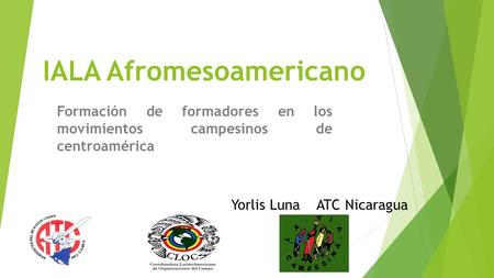 IALA Afromesoamericano