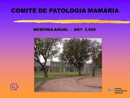 COMITÈ DE PATOLOGIA MAMÀRIA MEMÒRIA ANUAL - ANY 2.009.