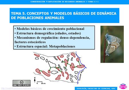 Modelos básicos de crecimiento poblacional