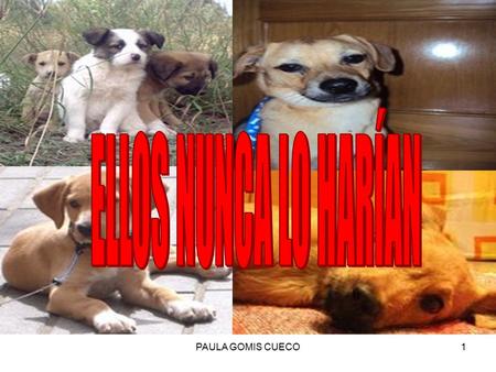PAULA GOMIS CUECO1. 2 En España son abandonados cada año mas de 110.000 perros. Estas cifras,como se puede contemplar en el gráfico,han ido en aumento.
