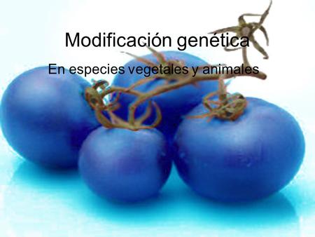 Modificación genética