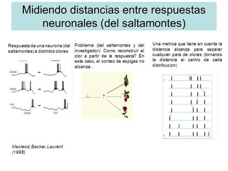 Midiendo distancias entre respuestas neuronales (del saltamontes) Respuesta de una neurona (del saltamontes) a distintos olores Problema (del saltamontes.
