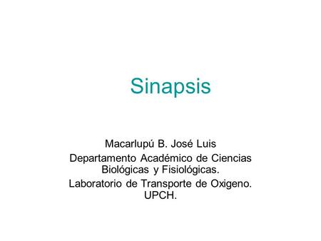 Sinapsis Macarlupú B. José Luis