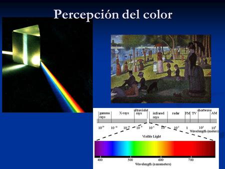 Percepción del color.