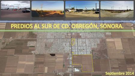 PREDIOS AL SUR DE CD. OBREGÓN, SONORA.