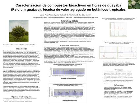 Caracterización de compuestos bioactivos en hojas de guayaba (Psidium guajava): técnica de valor agregado en botánicos tropicales Lizmar Pérez Pérez1,