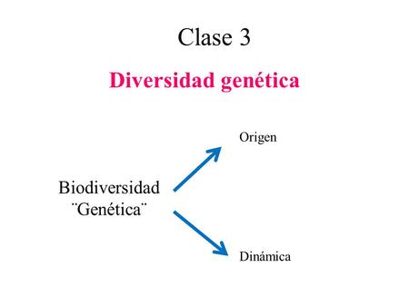 Biodiversidad ¨Genética¨
