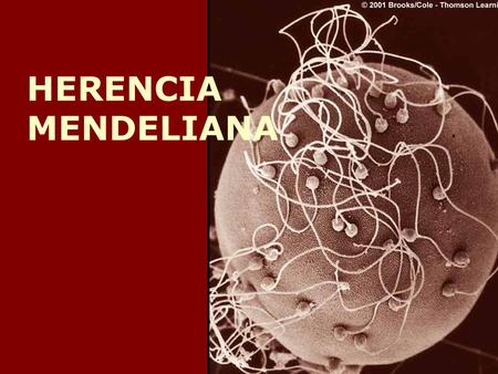 HERENCIA MENDELIANA.