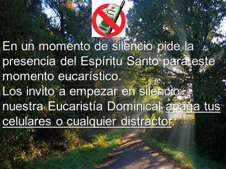 En un momento de silencio pide la presencia del Espíritu Santo para este momento eucarístico. Los invito a empezar en silencio nuestra Eucaristía Dominical.