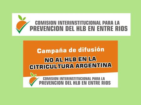 OBJETIVOS NO HLB EN EL PAÍS La Comisiónse formó en 2014