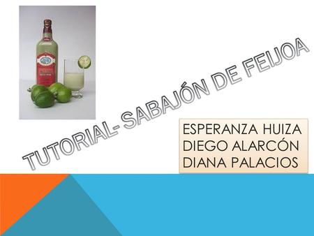 ESPERANZA HUIZA DIEGO ALARCÓN DIANA PALACIOS ESPERANZA HUIZA DIEGO ALARCÓN DIANA PALACIOS.