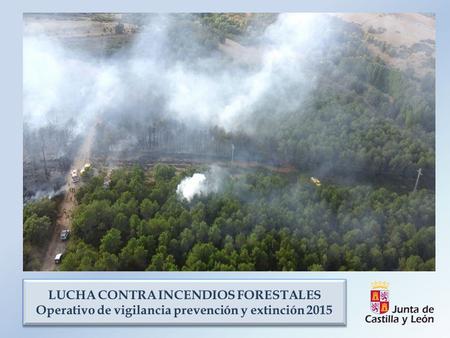 INCENDIOS FORESTALES 2014 EN CASTILLA Y LEÓN RESULTADOS DEFINITIVOS Castilla y León Promedio 2004 - 2013 2014 % Variación respecto promedio 2004 - 2013.