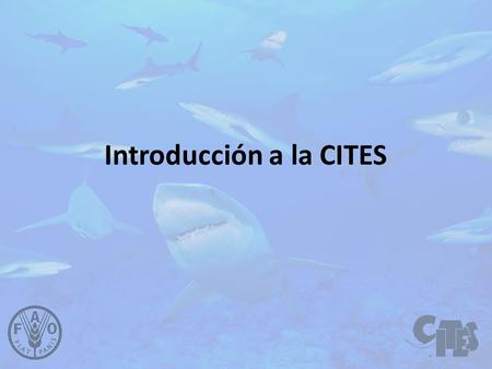 Introducción a la CITES. Convención sobre el Comercio Internacional de Especies Amenazadas de Fauna y Flora Silvestres Washington, D.C., 3 de marzo de.