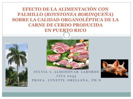 SYLVIA I. ALMODÓVAR LABORDE CITA 6655 PROFA. LYNETTE ORELLANA, PH D EFECTO DE LA ALIMENTACIÓN CON PALMILLO (ROYSTONEA BORINQUEÑA) SOBRE LA CALIDAD ORGANOLÉPTICA.