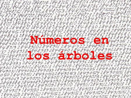 Números en los árboles.