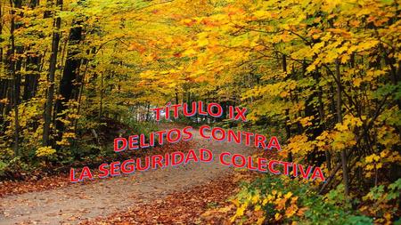 LA SEGURIDAD COLECTIVA