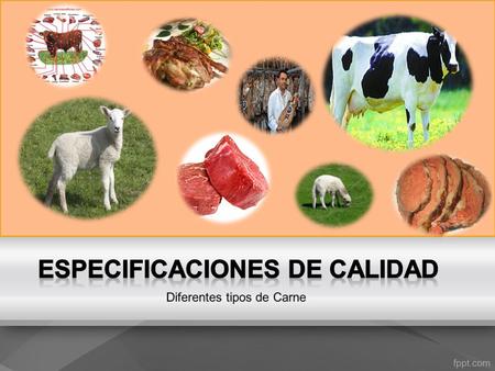 AlimentosMeses Res6 a 12 Carnero6 a 9 Ternera6 a 9 Cerdo3 a 6 Salchichas1 a 3 Carnes cocinadas1 Los alimentos sometidos a congelación, a una temperatura.