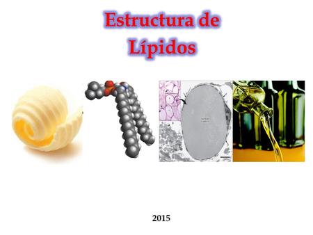 Estructura de Lípidos 2015.