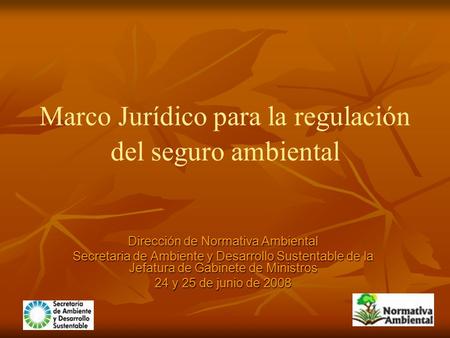 Marco Jurídico para la regulación del seguro ambiental Dirección de Normativa Ambiental Secretaria de Ambiente y Desarrollo Sustentable de la Jefatura.