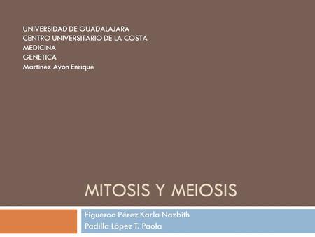 Figueroa Pérez Karla Nazbith Padilla López T. Paola