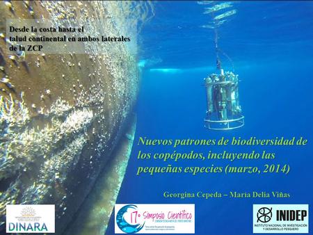 Nuevos patrones de biodiversidad de los copépodos, incluyendo las pequeñas especies (marzo, 2014) Georgina Cepeda – María Delia Viñas Desde la costa hasta.