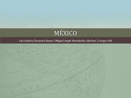 Luz Andrea Zermeño Reyes | Miguel Angel Hernández Sánchez | Grupo:104