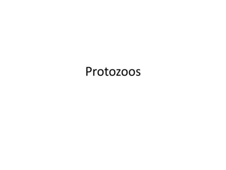 Protozoos.