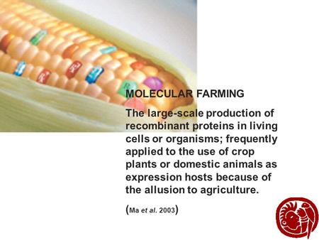 MOLECULAR FARMING The large-scale production of recombinant proteins in living cells or organisms; frequently applied to the use of crop plants or domestic.