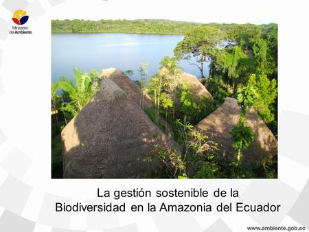 La gestión sostenible de la Biodiversidad en la Amazonia del Ecuador.