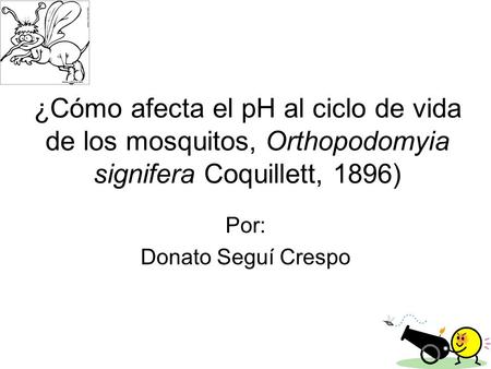 Por: Donato Seguí Crespo