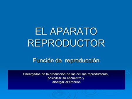 EL APARATO REPRODUCTOR