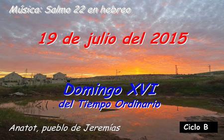 19 de julio del 2015 Domingo XVI del Tiempo Ordinario