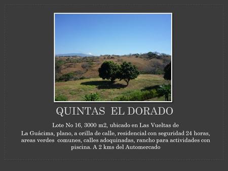 Lote No 16, 3000 m2, ubicado en Las Vueltas de La Guácima, plano, a orilla de calle, residencial con seguridad 24 horas, areas verdes comunes, calles adoquinadas,
