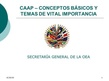 8/28/081 CAAP – CONCEPTOS BÁSICOS Y TEMAS DE VITAL IMPORTANCIA SECRETARÍA GENERAL DE LA OEA.