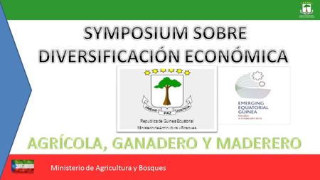 Excmo. Sr. D. Alfredo MITOGO MITOGO Ministro de Agricultura y Bosques Ministerio de Agricultura y Bosques.