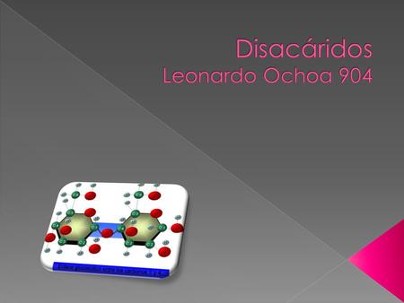 Disacáridos Leonardo Ochoa 904