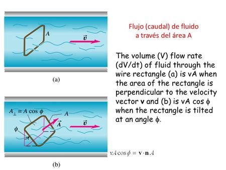 The volume (V) flow rate (dV/dt) of fluid through the wire rectangle (a) is vA when the area of the rectangle is perpendicular to the velocity vector v.