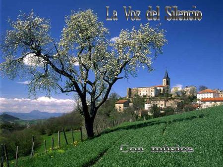La voz es una de nuestras armas más potentes en la comunicación. De su volumen, entonación y ritmo dependen el entusiasmo que manifestamos, nuestra.